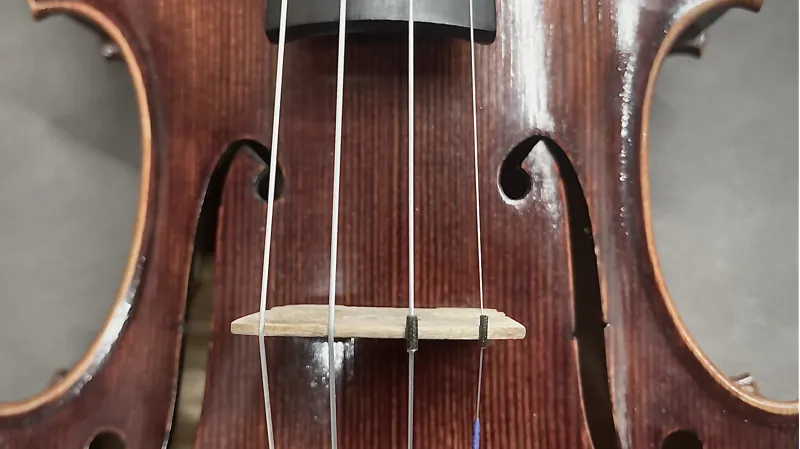 Chardon et Fils Paris 1903 Violin-8